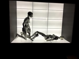 Björk_AIFOL_MoMA